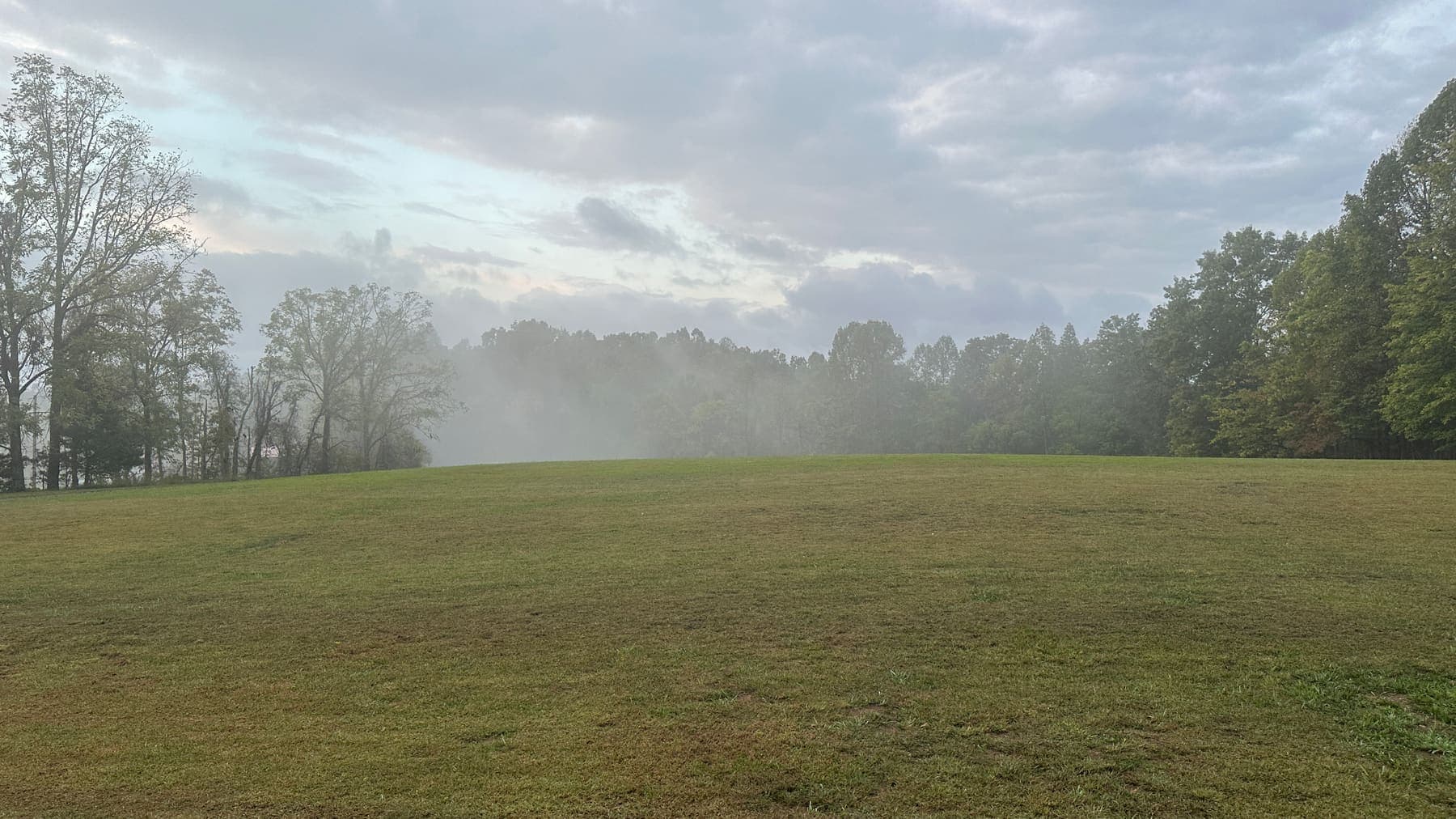 A wide mown field at first light with low fog lying against the treeline behind it under a soft gray sky