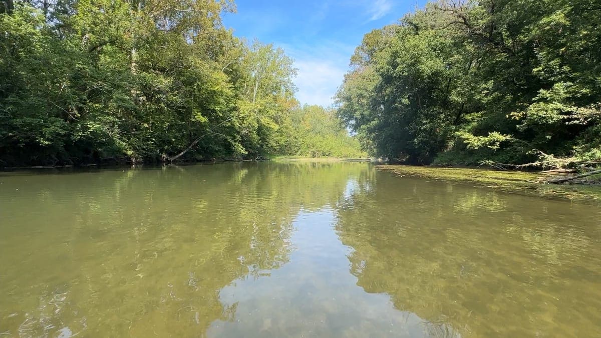 The same river a little deeper and still, trees and blue sky reflected across the surface