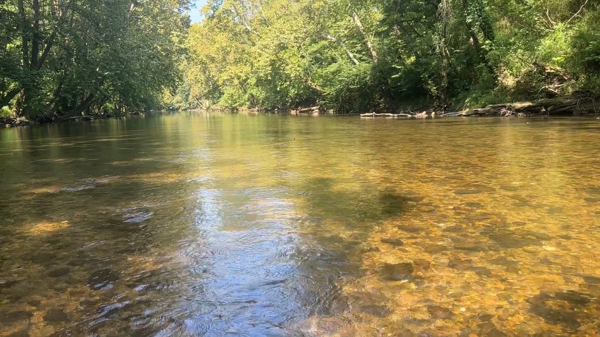 Clear shallow water running over a wide gravel bed, wooded banks on both sides in full summer leaf