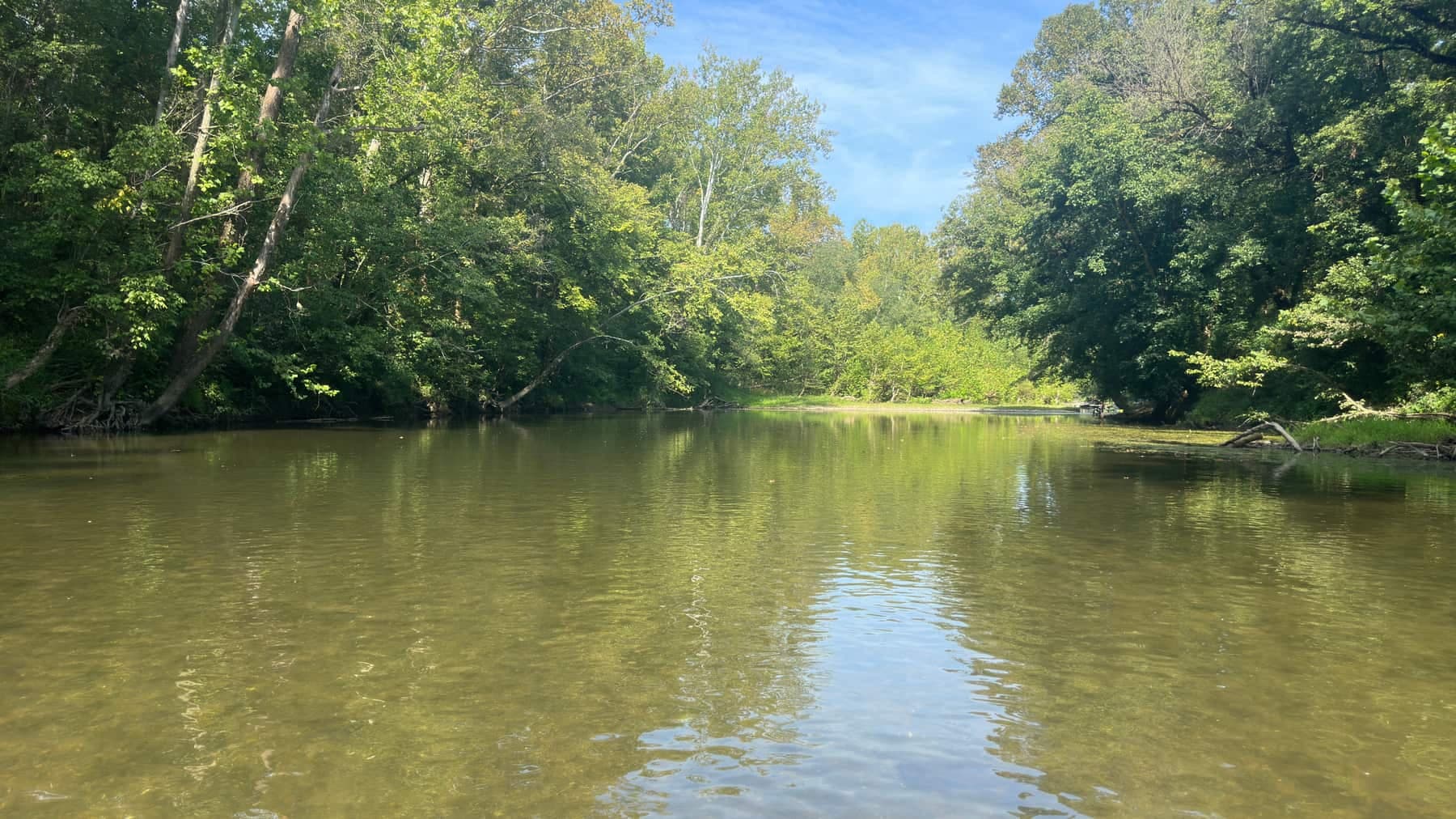 A slow green river seen from water level, heavy summer trees leaning in from both banks under a blue sky